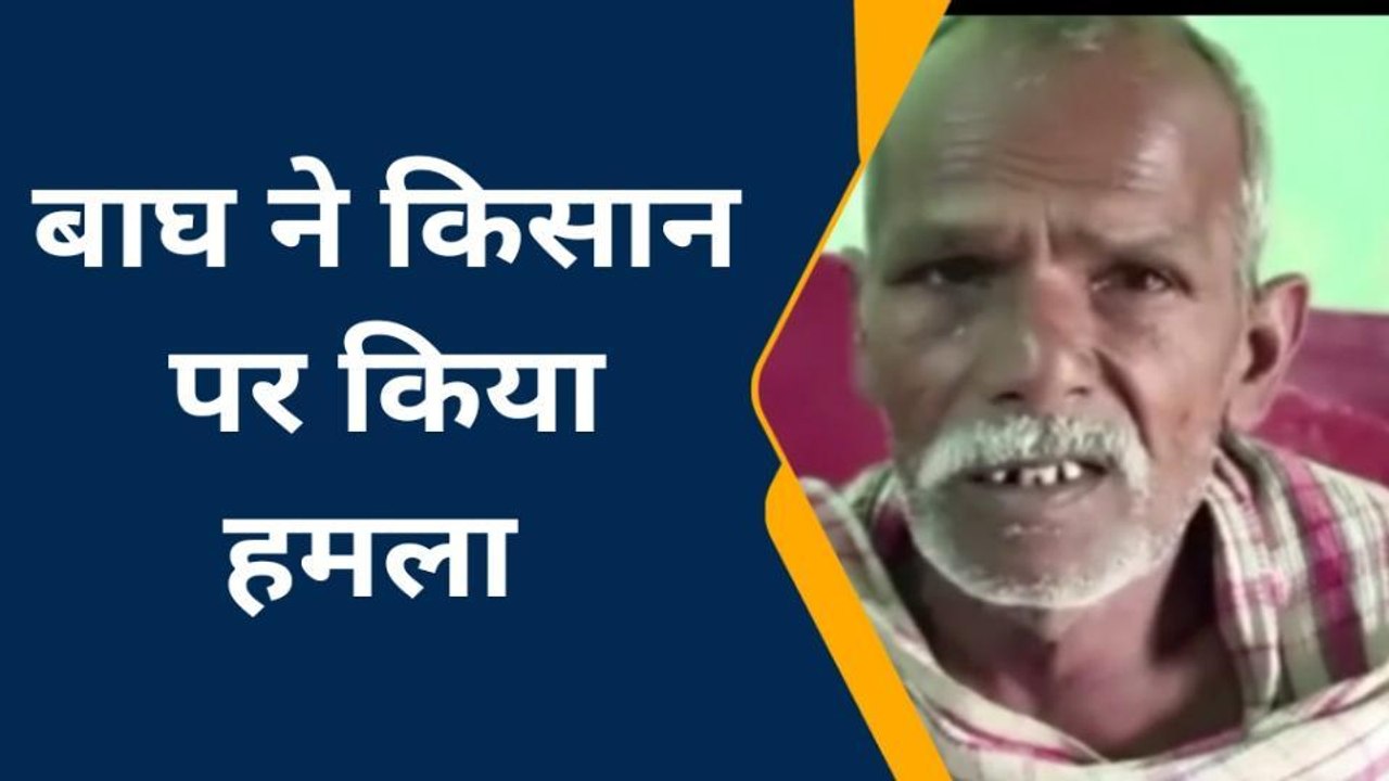 खीरी: गन्ने की छिलाई कर रहा था किसान, आदमखोर बाघ ने किया जानलेवा हमला, और फिर