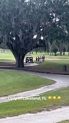 EUA. Partida de golfe transforma-se em luta por 'lentidão' dos jogadores