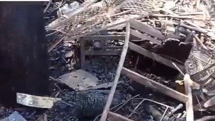 दतिया: दुकान मे आग लगने से मची अफरातफरी, लाखों का माल हुआ ख़ाक