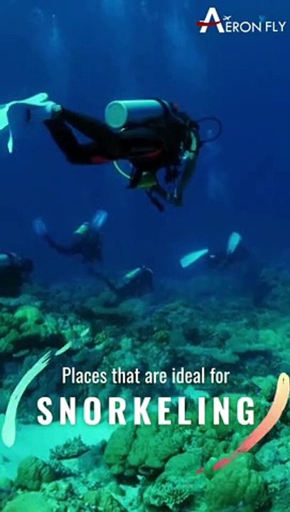 The ocean is calling and you must go | Dive into Underwater World | Flight Booking With AeronFly | Travel with AeronFly | Cheapest Flights Booking with AeronFly