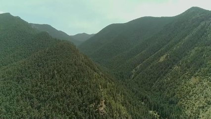 İç Moğolistan Ağaçlandırmada Çin'de Birinci Sıraya Yerleşti