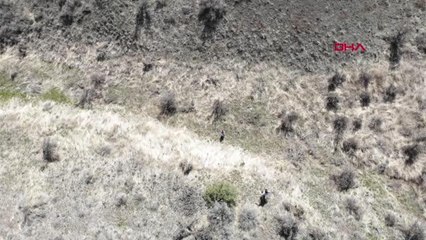 ABD'de kaybolan 3 yaşındaki kız çocuğu insansız hava aracıyla bulundu