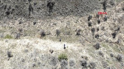 ABD'de kaybolan 3 yaşındki çocuk , İHA yardımıyla bulundu