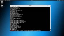 Security Academy Practical Ethical Hacking - Brute Force Attacks