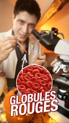 Mmmh... Appétissant ces globules rouges !