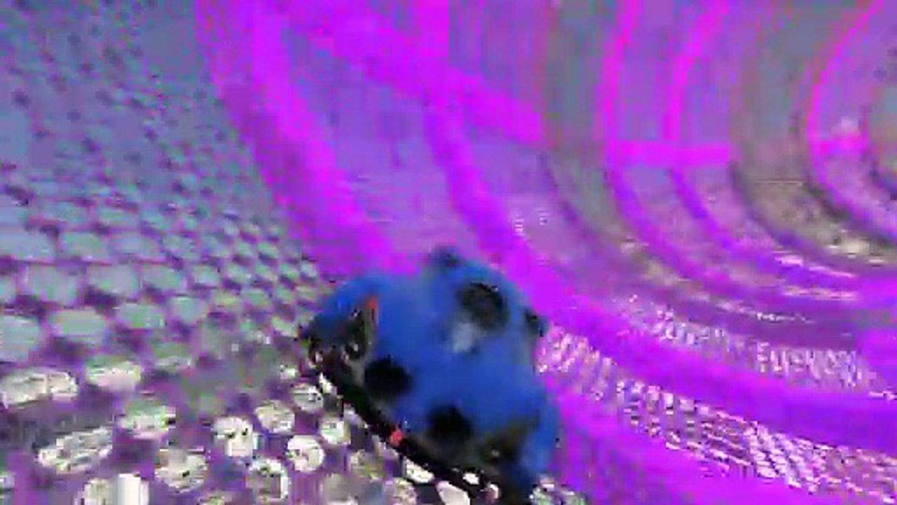 Car race again