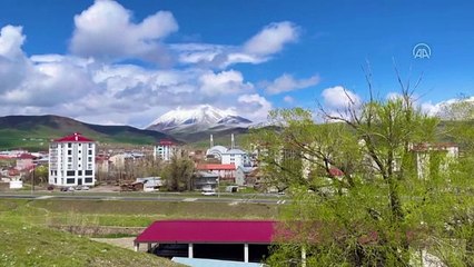 Ağrı’da bulunan Kösedağ karla kaplandı