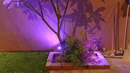 Nice Place in Saudi Arabia