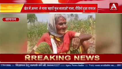 खेत में अम्मा  ने गाया 'बहारों फूल बरसाओ' गाना, वीडियो हुआ वायरल-#apexnewsindia