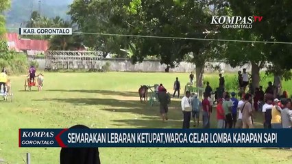 Semarakan Lebaran Ketupat,Warga Gelar Lomba Karapan Sapi