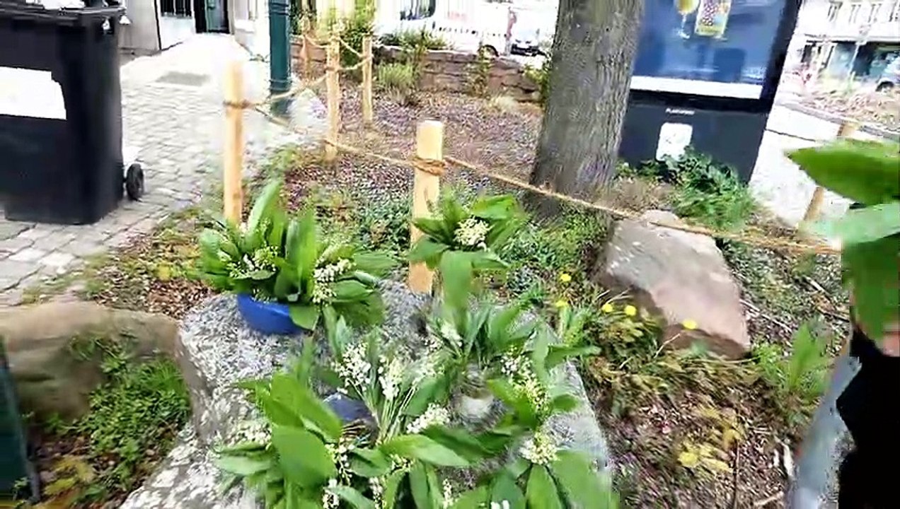 Brumath 1er mai 2023 et la vente de muguet