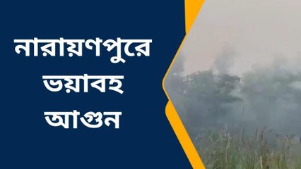 দঃ ২৪ পরগনা : নারায়ণপুরে মিনি ফরেস্টে ভয়াবহ অগ্নিকাণ্ড!