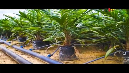 CAMVERT in CAMPO - An Economically Viable Project in Plant Nurseries  - 30 April 2023