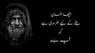 15 Quotes Written By 100 Year Old Man | Collection Of Beautiful Sayings In Urdu Hindi