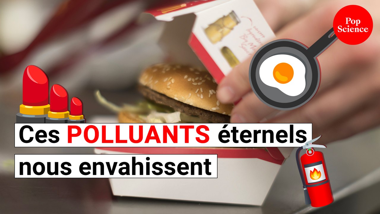Au fast food ou dans le maquillage, les PFAS nous envahissent