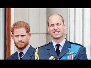 Le coup brut@l de Harry sur les cheveux de William alors que les frères font face à un échange tendu