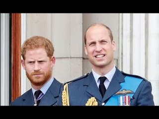 Il colpo brut@le di Harry ai capelli di William mentre i fratelli affrontano uno scambio teso all'in