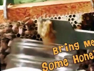 Fetch! with Ruff Ruffman Fetch with Ruff Ruffman E007