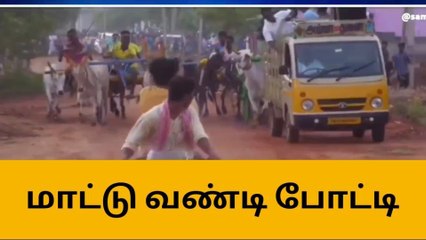 Download Video: பாளை: கோலாகலமாக நடைபெற்ற மாட்டு வண்டி குதிரை வண்டி போட்டி !