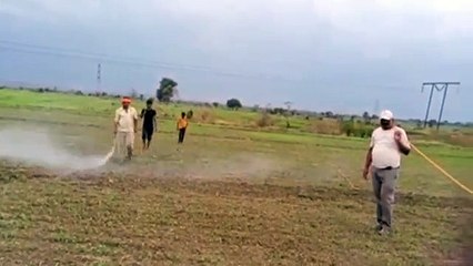 Fertilizer will be distributed regularly till May 31