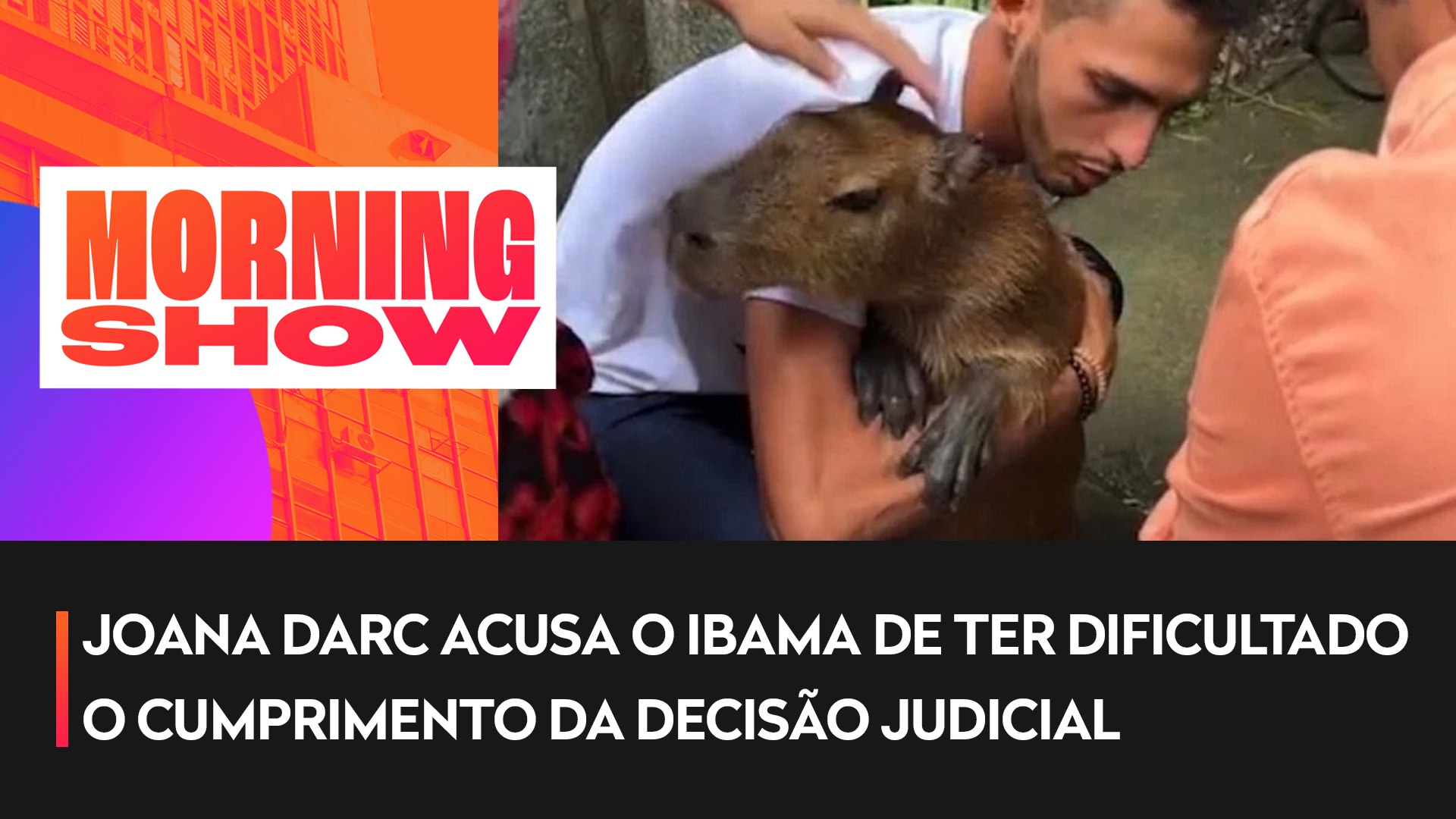 Capivara Filó é devolvida ao influenciador Agenor Tupinambá; veja