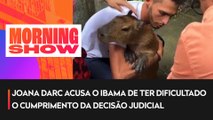 Capivara Filó é devolvida ao influenciador Agenor Tupinambá