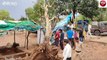 sidhi: Heavy rain accompanied by thunderstorm, many trees collapsed