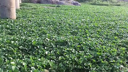 लोकोपयोगी अदालत में दोबारा दिया प्रकरण