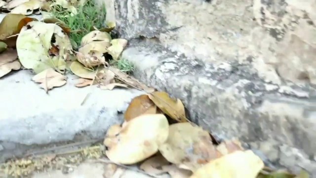 Bewajah 2.0 new song | sing and composed by tayyab rafiq mughal