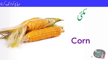 Vegetable Names in English and Urdu - سبزیوں کے نام