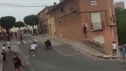 Un toro se tira por un barranco de más de 15 metros en plena fiesta y tiene que ser sacrificado