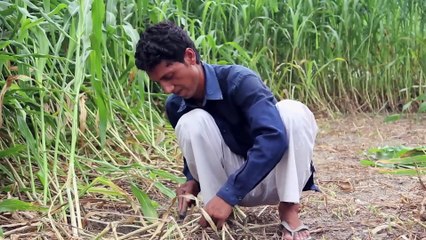 Franczyza -co to jest? [pomysły, katalog franczyz i e-franczyza]