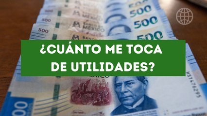¿Cuánto me toca por el reparto de utilidades? Esto dice la Ley del Trabajo