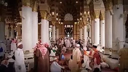 How Prophet Muhammad SAW Treated Different Dissese_Rules of Healthy Life_Tib_144p