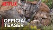 Our Planet II | Official Teaser - Netflix