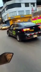 Perrito viaja en techo de vehículo