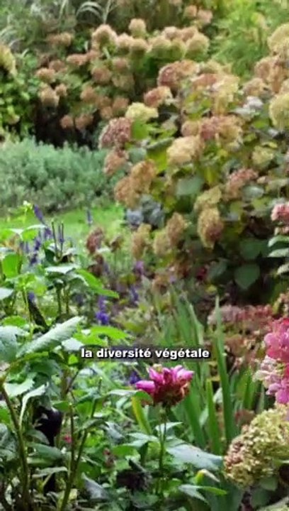 6 faits sur les abeilles 