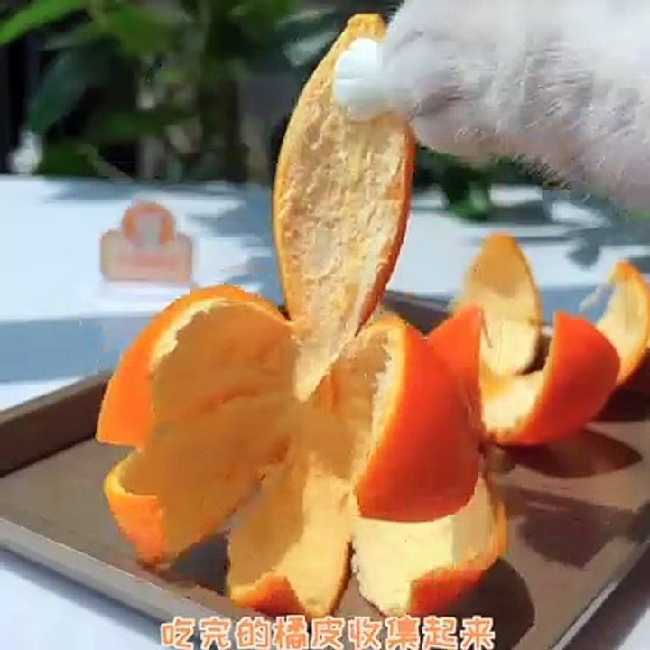 Amazing tips