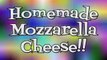 How To Make Mozzarella Cheese ~ Mozzarella Cheese Recipe ~ Homemade Mozzarella