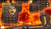 DU Super Wario Bros online multiplayer - wii