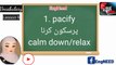 Lesson 9 | Vocabulary | Used in Daily life | Easy to learn | @EngNEED #speakenglish #vocabulary Vocabulary, build your language. Easy to learn with Urdu translation. 1 minute = 10 words Easy to learn. Speak English like a native speaker. Keep watching Eng