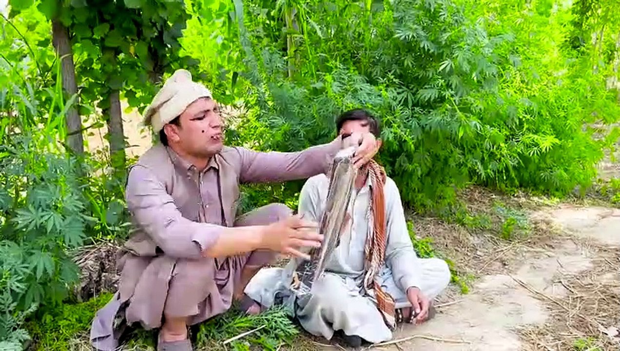 Zoye Sharam De Jor Ko Funny Video Barsaat Vines