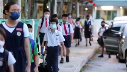 学生今日重返校园，朗朗书声再次响起📚