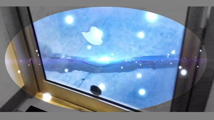 Entering and leaving DMV l at flea market l Vinyl albums l Photodirector.compressed