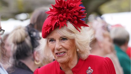 A look at Louis Lopes, Queen Camilla's grandson, and his role in the coronation