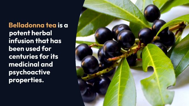 Harnessing the Power of Belladonna A Guide to Safely Crafting a Potent Belladonna Tea Recipe