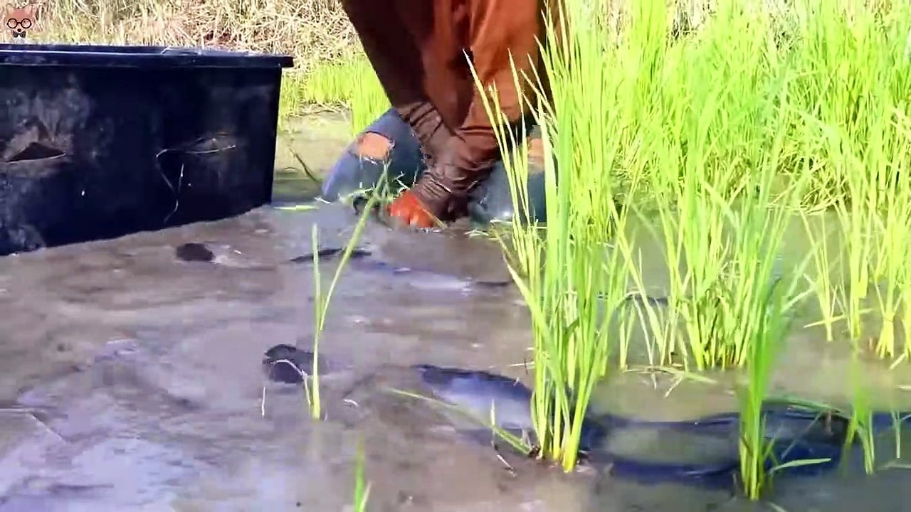 Balıkçı Kimsenin Görmemesi Gereken Bir Şeyi YAKALADI!