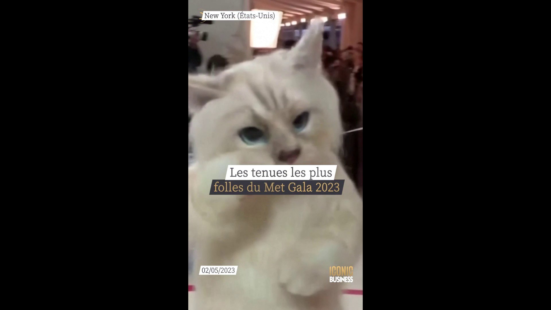⁣Jared Leto et Doja Cat en chat, Lil Nas X tout en argent... Les tenues les plus folles du Met Gala