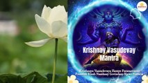 krishna vasudevaya hare parmatmane | कृष्णाय वासुदेवाय | Krishna Mantra 108 Times |