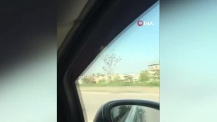 Tehlikeli yolculuk kamerada: Odunların üstüne uzanarak gitti